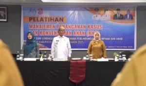 IMG-20251112-WA0015(1)