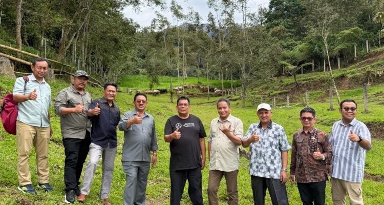 IMG-20260410-WA0006(1)